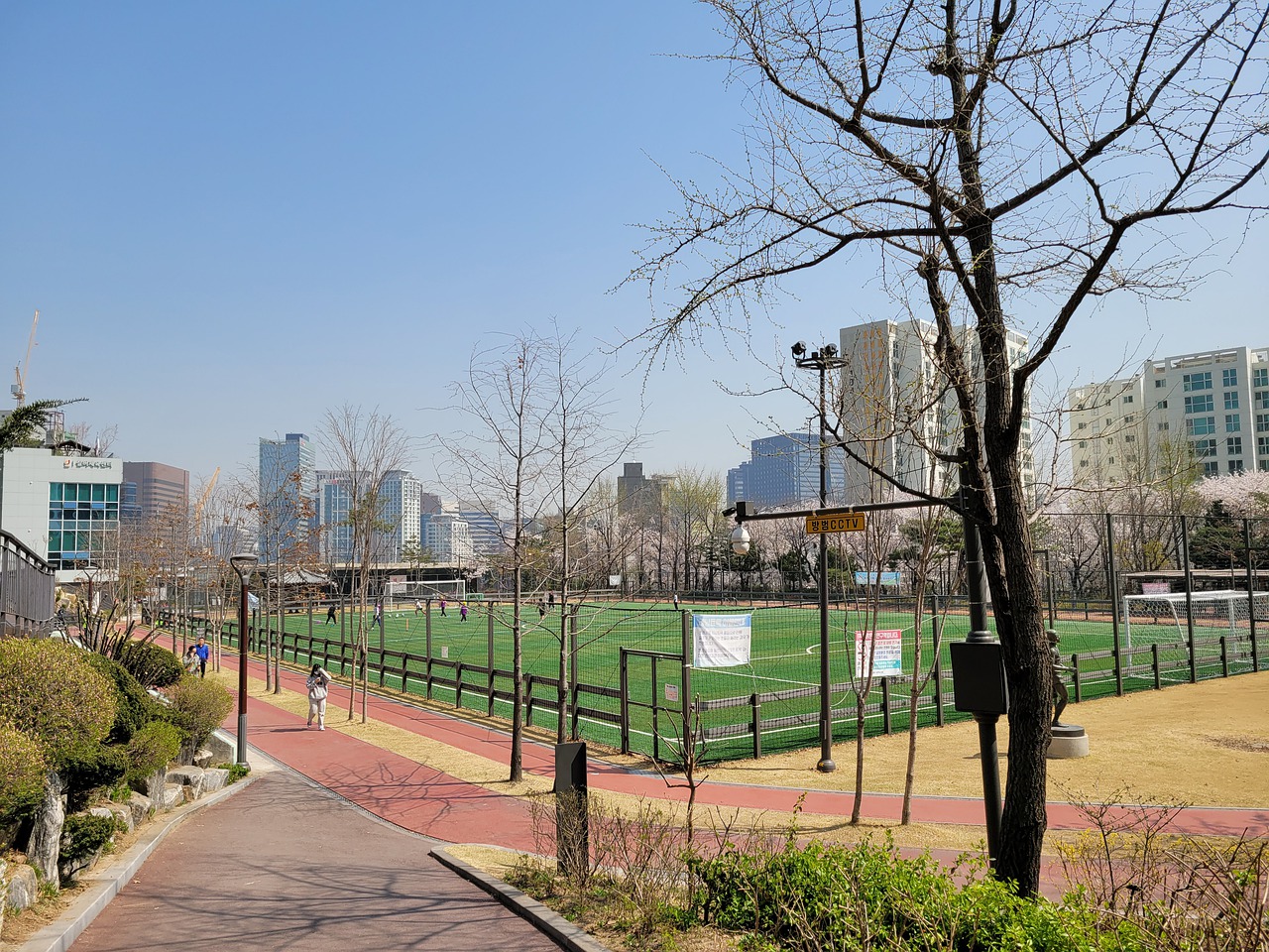 场中