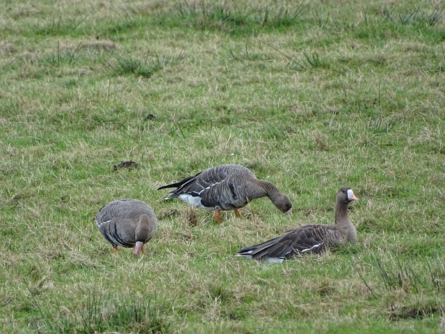 迷的热情 迷的热情