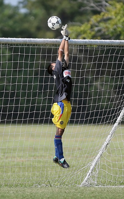 的高要求 的高要求