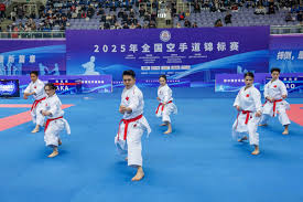 文森特状态火热！湖人击败灰熊.